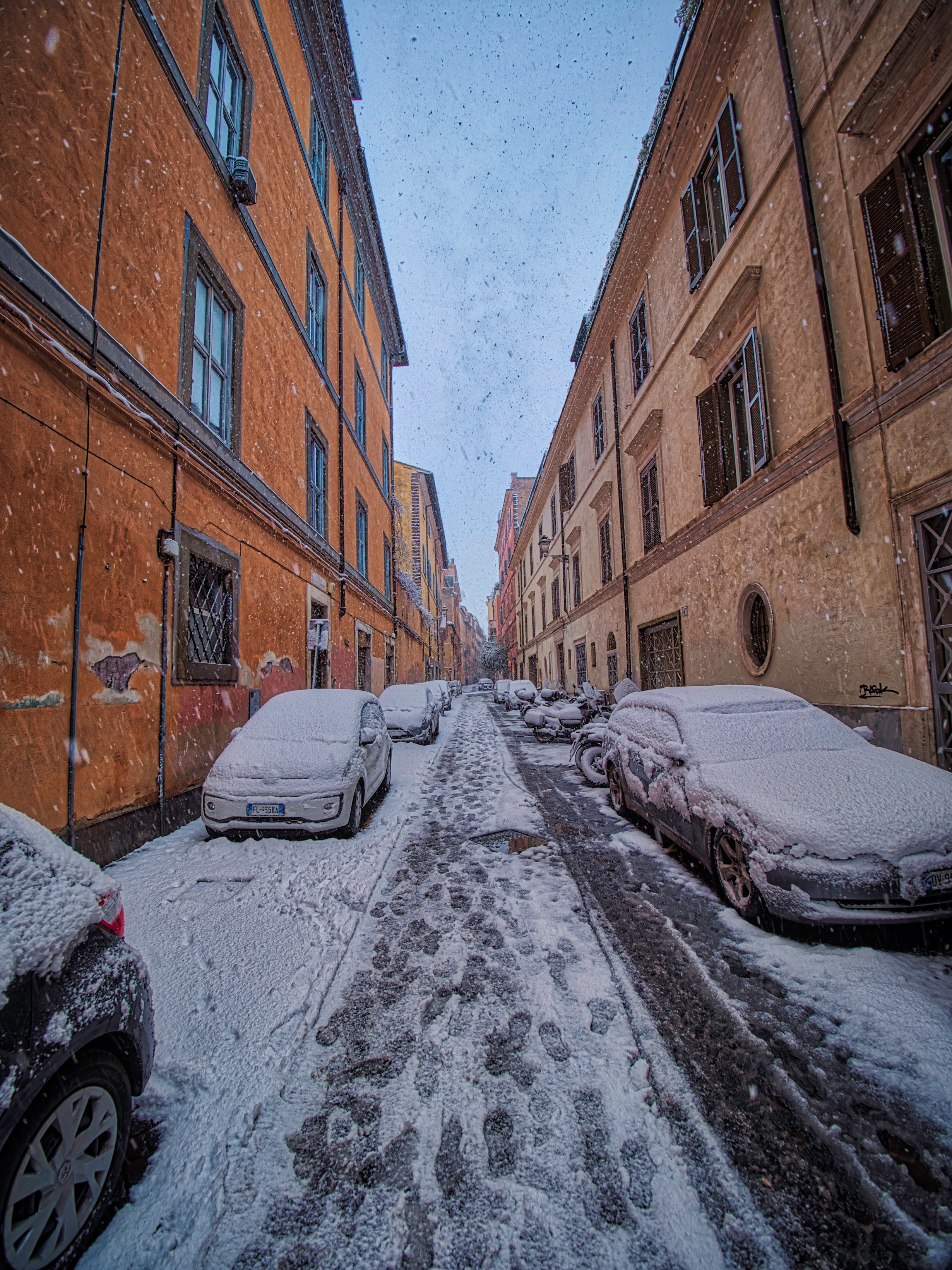 First Snow